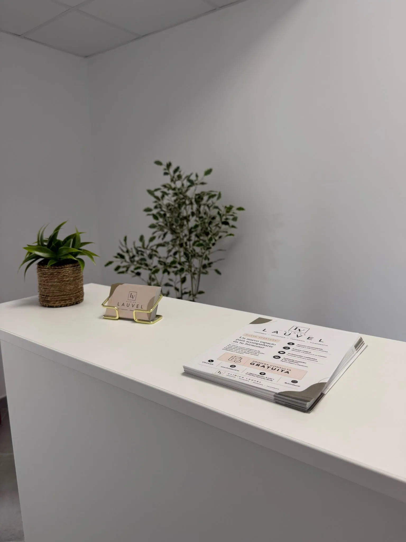 Mostrador de recepción de Clínica LAUVEL